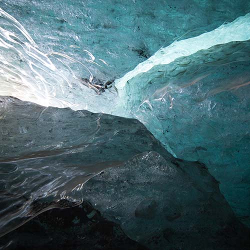 black and white photo closeup of a greyhound's face
